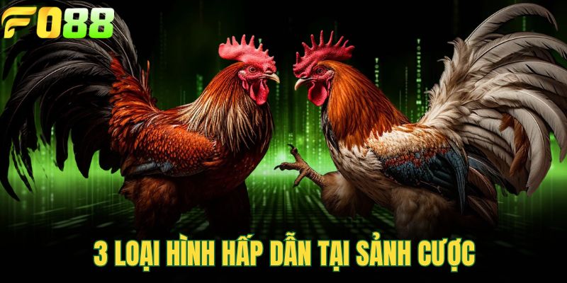 3 loại hình hấp dẫn tại sảnh cược