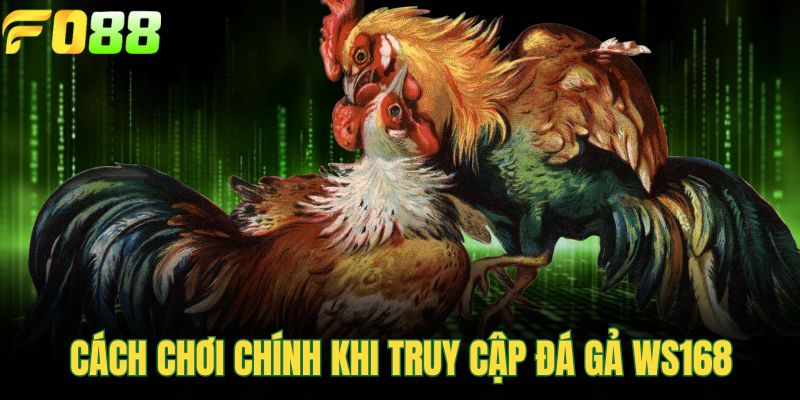 Cách chơi chính khi truy cập đá gả WS168