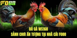 Đá Gà WS168 - Sảnh Chơi Ấn Tượng Tại Nhà Cái FOR88