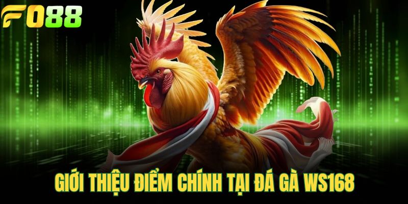Giới thiệu điểm chính tại đá gà WS168