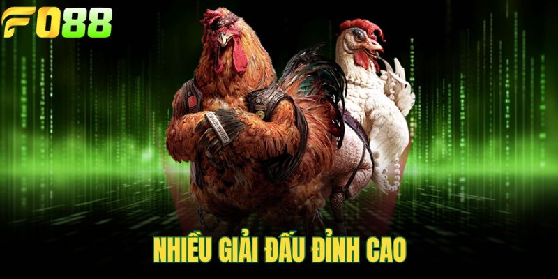 Nhiều giải đấu đỉnh cao